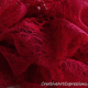 Creative Art Expressions Hand Knit Red Lace Ruffle Scarf