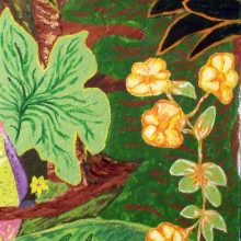 dscf8855-001.jpg dscf8855-001.jpg