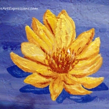 dscf9151-001.jpg dscf9151-001.jpg