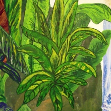 dscf9867.jpg dscf9867.jpg