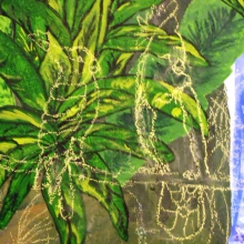 dscf9888.jpg dscf9888.jpg