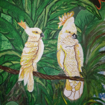 White birds finished 8-10-13