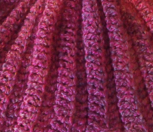 Close of up Small Fin in Ambrosia